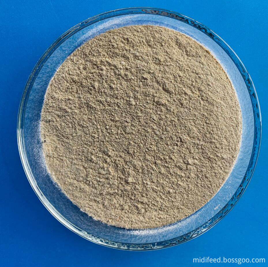 Grey Powder Dicalcium Phosphate Feed Grade