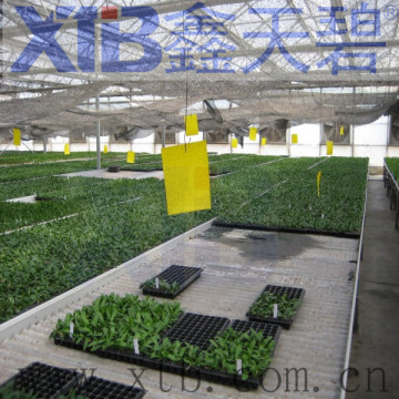 Greenhouse hydroponic growing systems