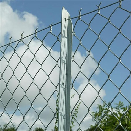 Factory Outlets Galvanized Chain Link Fence