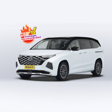 2024 Hyundai Custo Luxury MPV Online Purchase with Features