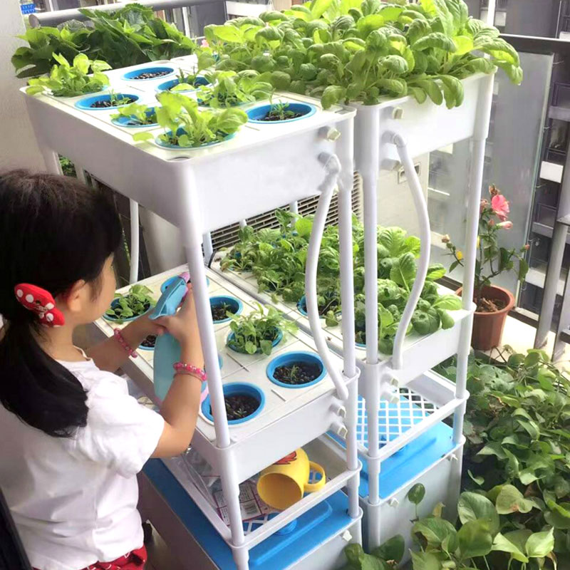 hydroponic system 1