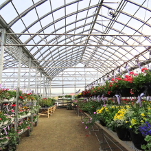 Polycarbonate Greenhouse