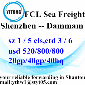 Shenzhen zeevracht scheepvaart expediteur naar Dammam