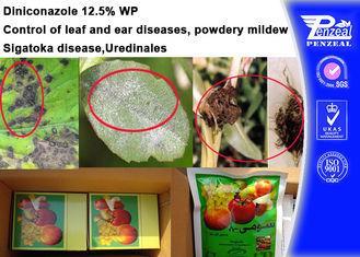 76674-21-0 Systemic Fungicides , Diniconazole 12.5% Wp Fung