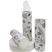 Custom Daily Use Car Tissues Tube Container