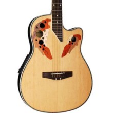 Leaf Sound Holes Round Back Acoustic Electric Guitar (AR-069)
