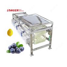 Blueberry Sorting Machine | Lemon Sorter Machine