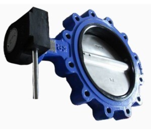 Df316 Lug Type Midline Butterfly Fay Valve