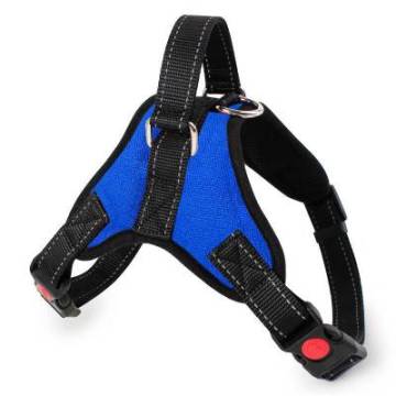Front Range Dog Harness No Pull Dog Halter