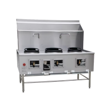 Commercial Wok Range: Chinese Professional Stainless Steel Wok Burner for Restaurants
