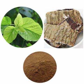 Natural Eucommia Bark Extract free sample