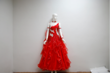 Dance competition costumes for ladies