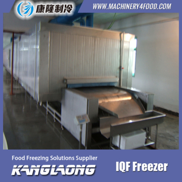 1000Kg/H Frozen Chicken Leg Quarters Fast Freezer