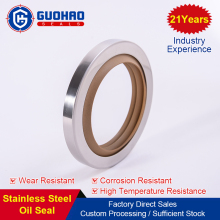 NBR/VITON oil seals for high pressure hydraulic pump