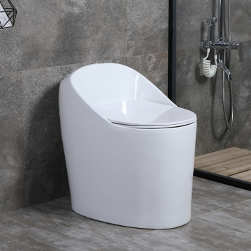 Bathroom Siphon Jet S-Trap Water Closet Height Ceramic Toilet WC