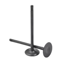 Engine Intake Valves Replacement