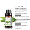 Private Label Face Skin Care Tea Tree Natural Essential Oil