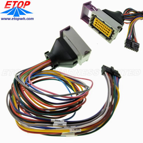 Conjunto de cable de conector ECU personalizado de 24 pines