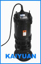 QW Water Supply Pump