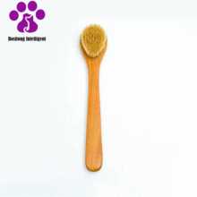 Natural Bristle Bath Brush