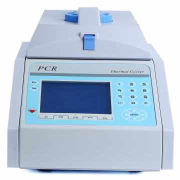 Cheap price intelligent 96 wells thermal cycler