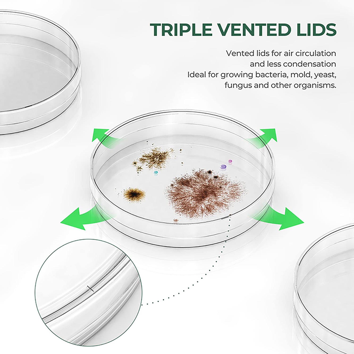 disposable plastic Petri dish