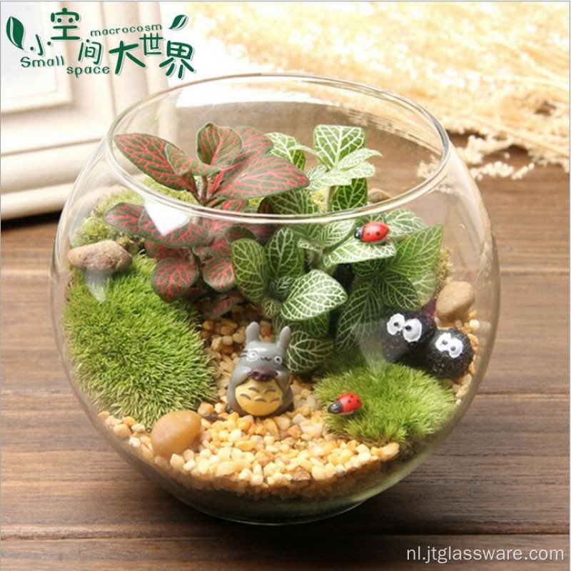 Woondecoratie Glazen terrarium met voet