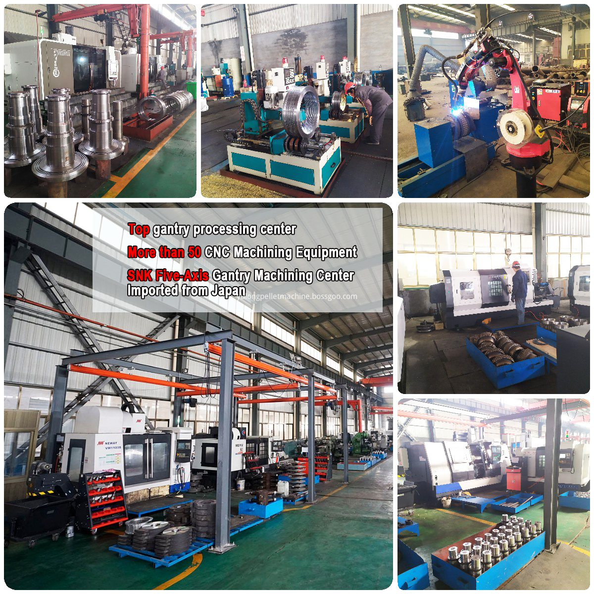 20tph Wood Pellet Processing Plant