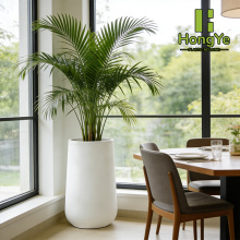 Elegant Large Flower Pot with Cup Shaped Structure