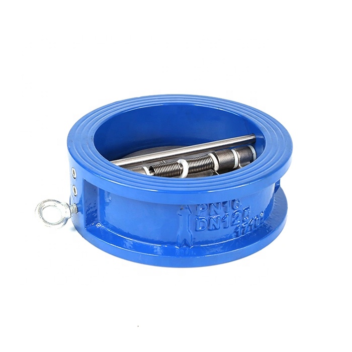 Hot Sale Ductile Iron Wafer Type Double Doors Non Return Check Valve for Sea Water