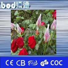 flexible flower net wrap