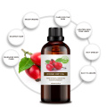 Private Private Preço em massa Organic Rose Hip Oil