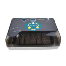 EW9-12 Egg Incubator: Factory Supply 12 Egg Hatchery Machine Price