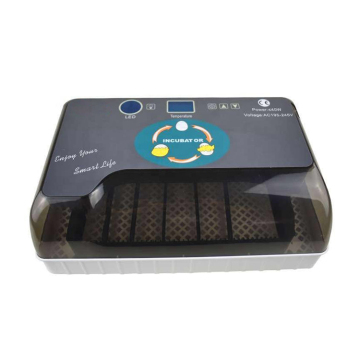 EW9-12 Egg Incubator: Factory Supply 12 Egg Hatchery Machine Price