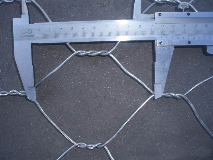 Hexagonal Wire Mesh a