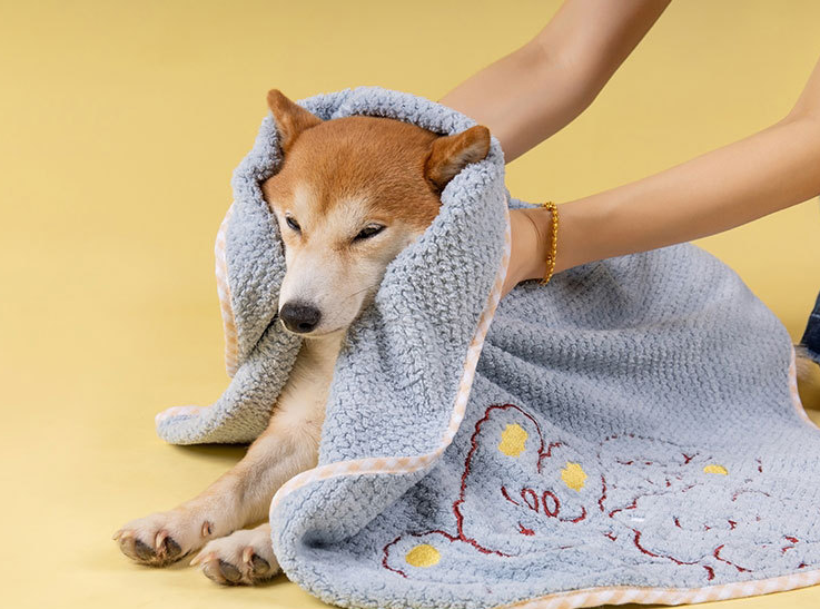 Factory Washable Quick Dry Absorbent Microfiber Dog Hooded Bath Towel3