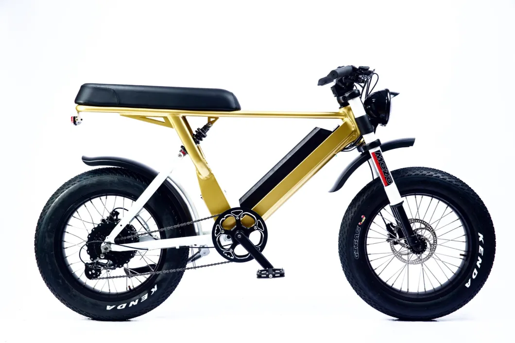 New Design Fat Tire Bike 20 Inch Disc Brake Shimano 7 Speed Lady Fat Electric Bike