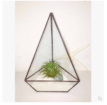 Square Glass Plant Terrarium Style Planter Box