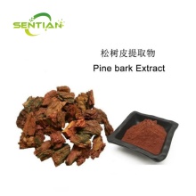 Pine Bark Extract Powder 95% Proanthocyanidins