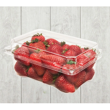 Volume rendah strawberry clamshell