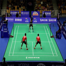 شبكة الريشة الطائرة BWF المعتمدة