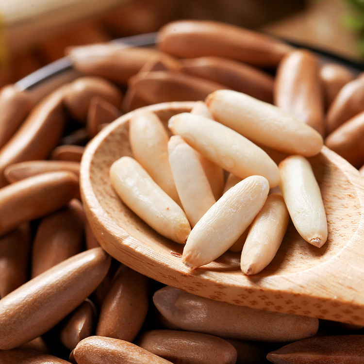 china origin appropriate prices specification pine nuts