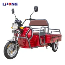 Low-Cost Electric Tricycle for Efficient Cargo Transport