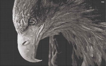 Black and white eagle art mosaic tiles