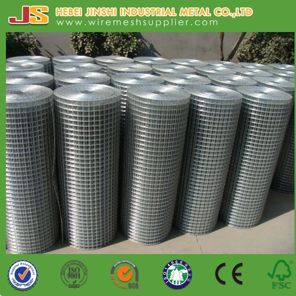 Us Market Smart-Roll Galvanized Welded Wire Mesh