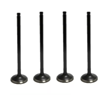 Intake Valve 1010A400 for Engine
