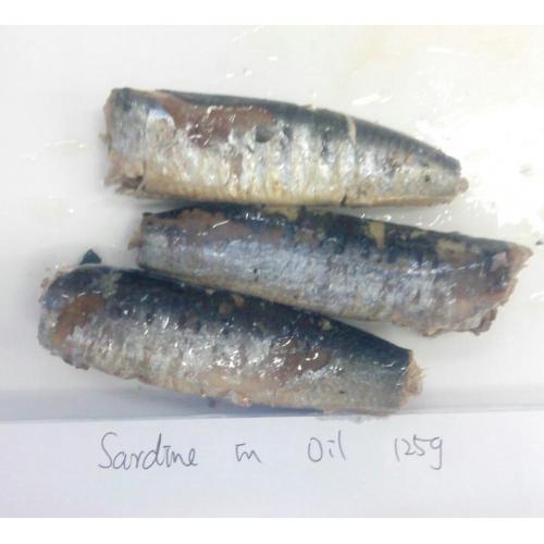 Sardine in Dosen in Pflanzenöl 125G