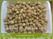 Whole Mushroom Agaricus in Conserve