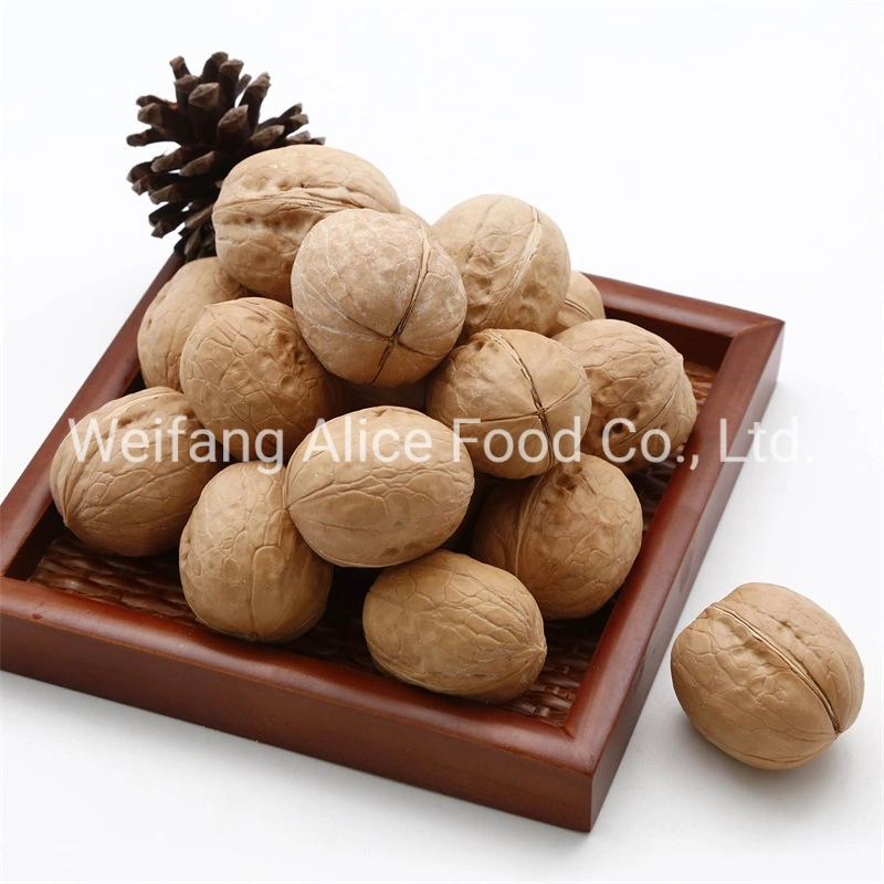 China Made Bulk Quality 28mm/30mm/32mm up Walnut in Shell Xinjiang Walnut