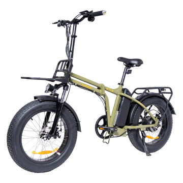 MEIGI US Warehouse - Best Price 750W Folding Electric Bike with Fat Tires